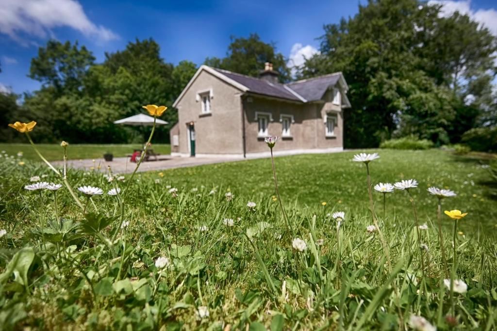 Дома для отпуска Schoolhouse at Annaghmore Collooney-49